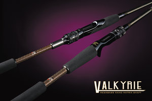 VALKYRIE series