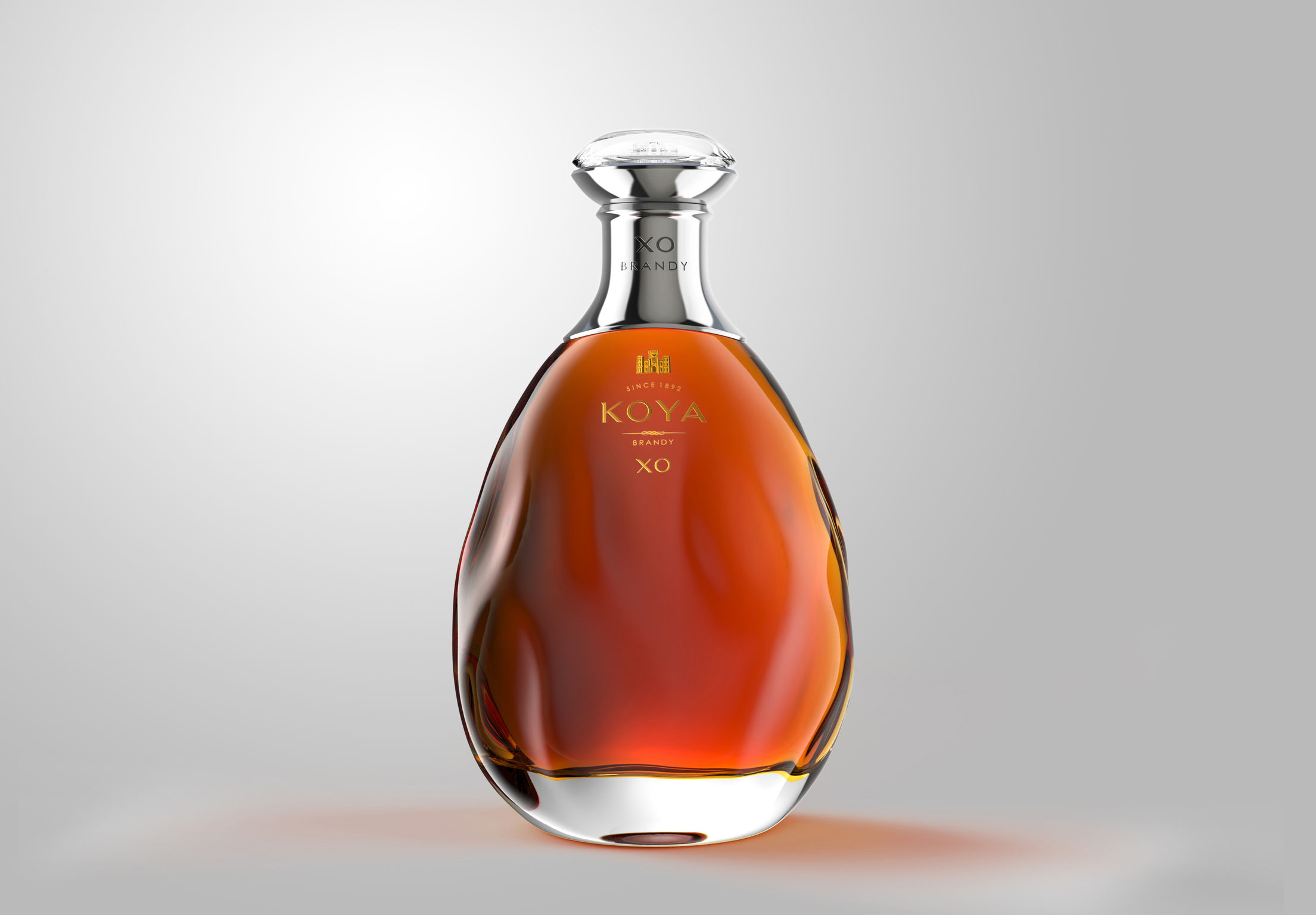 Changyu ·KOYA  Brandy