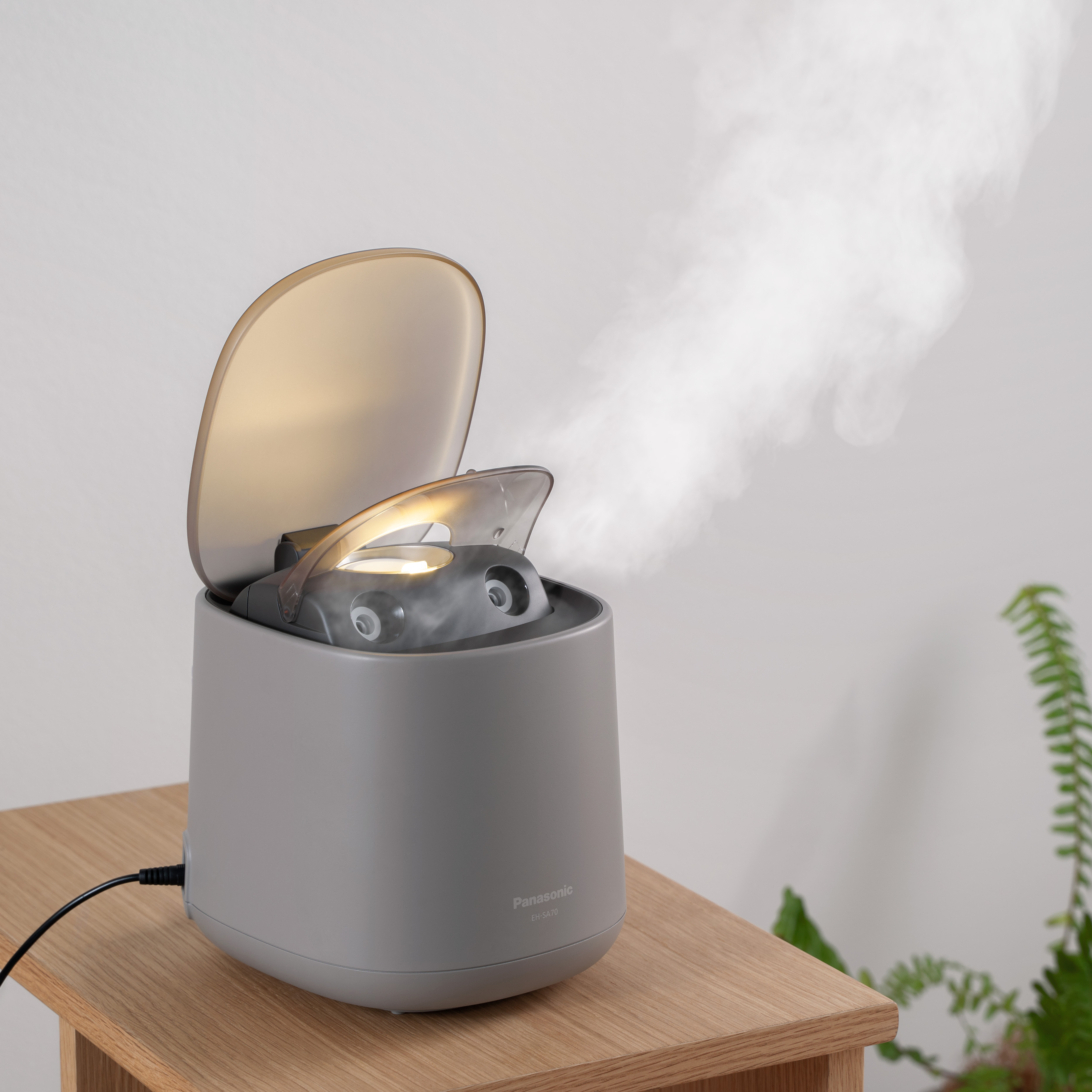 iF Design Panasonic Facial steamer nanocare EHSA70
