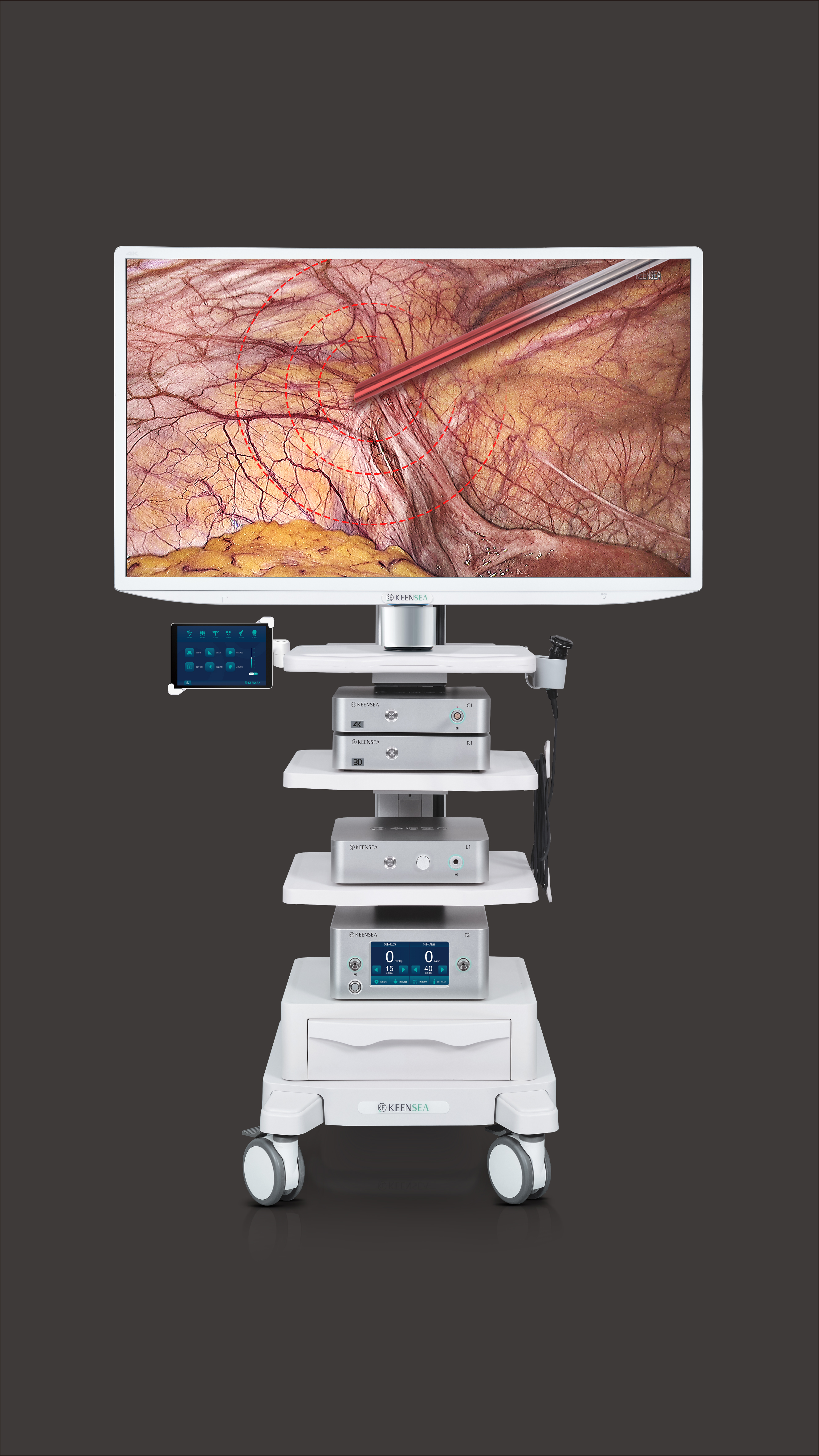 Keensea EndoNext Series Endoscopic Systems