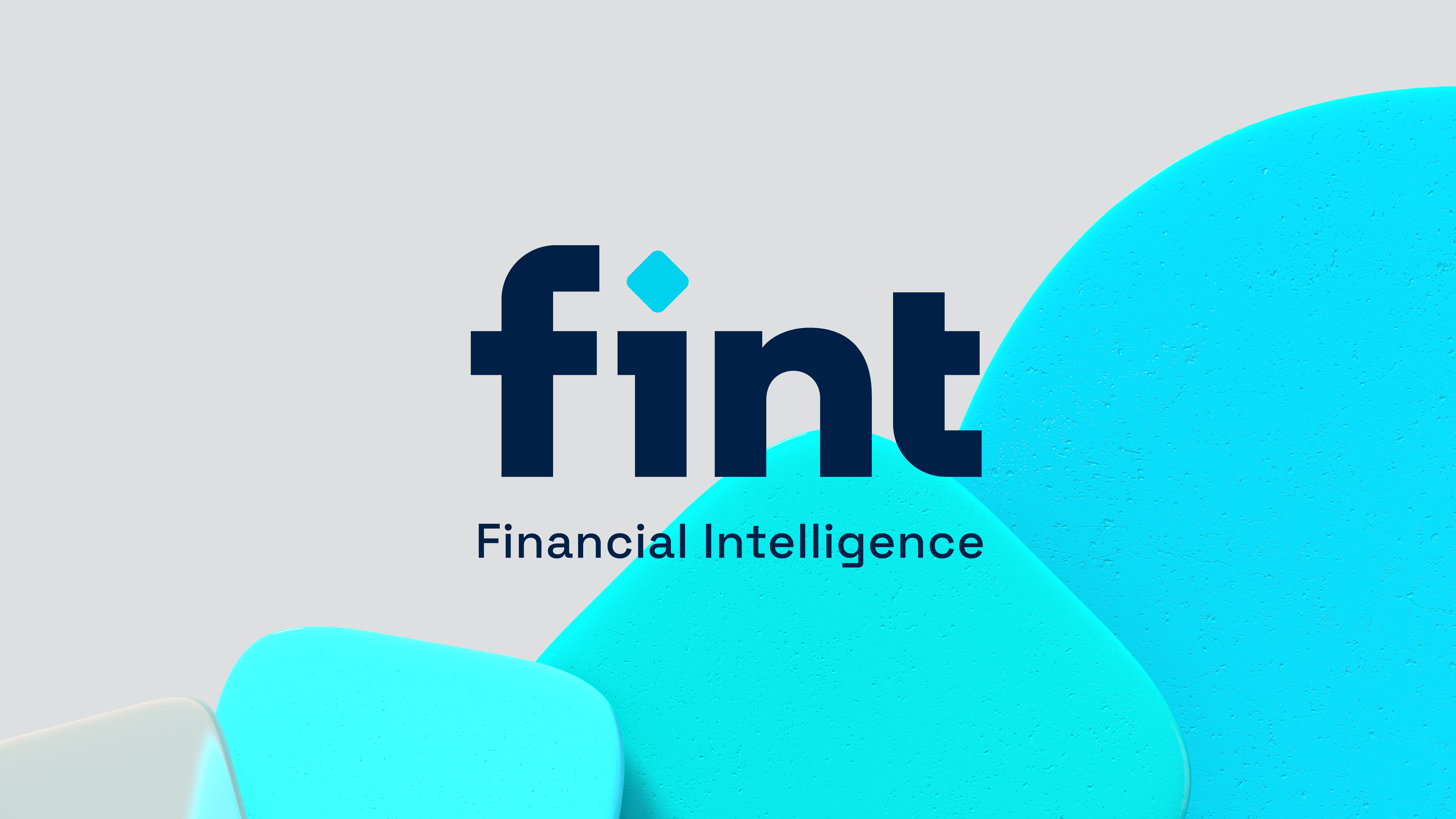 Fint Brand Identity Design