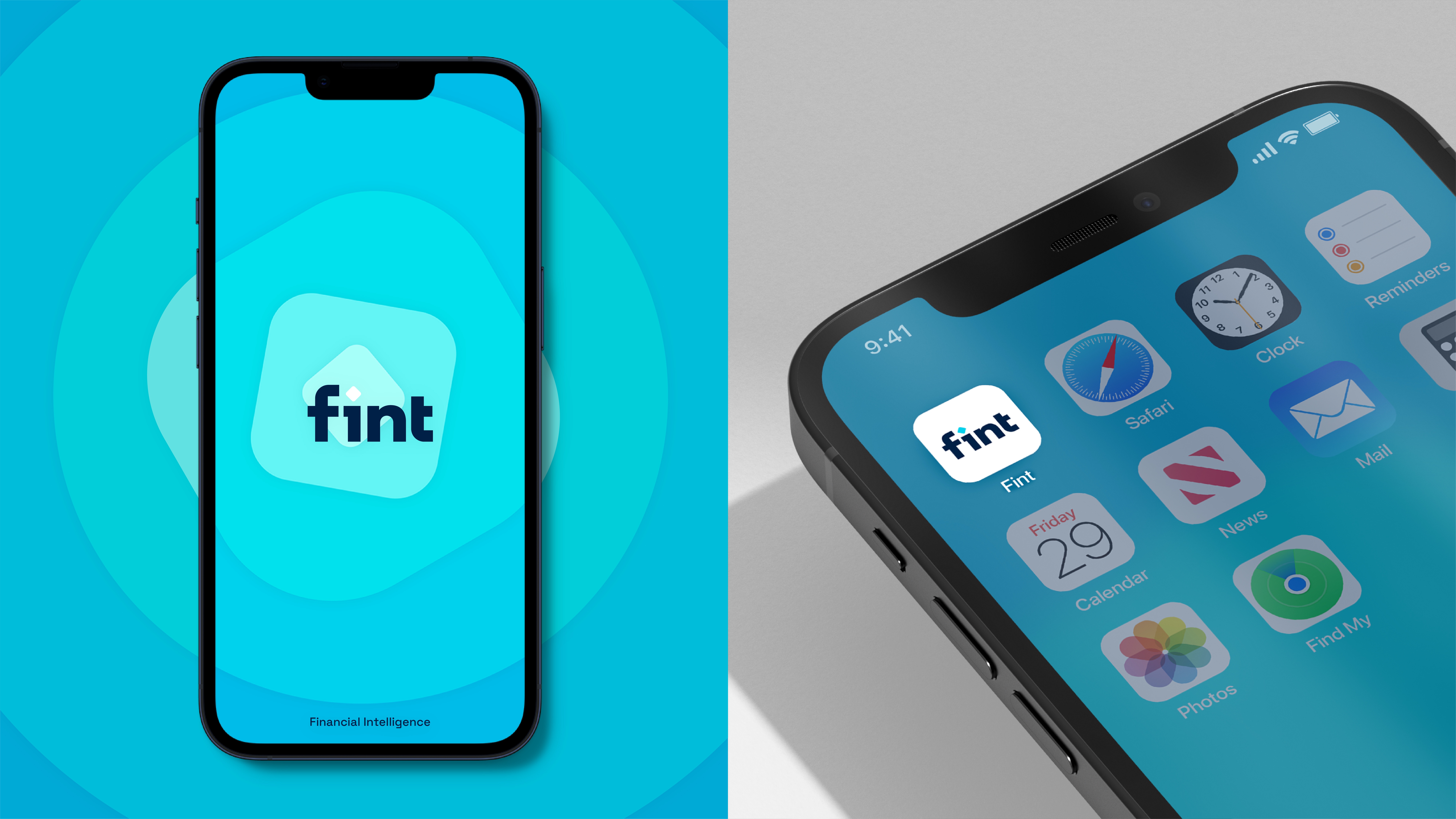 Fint Brand Identity Design