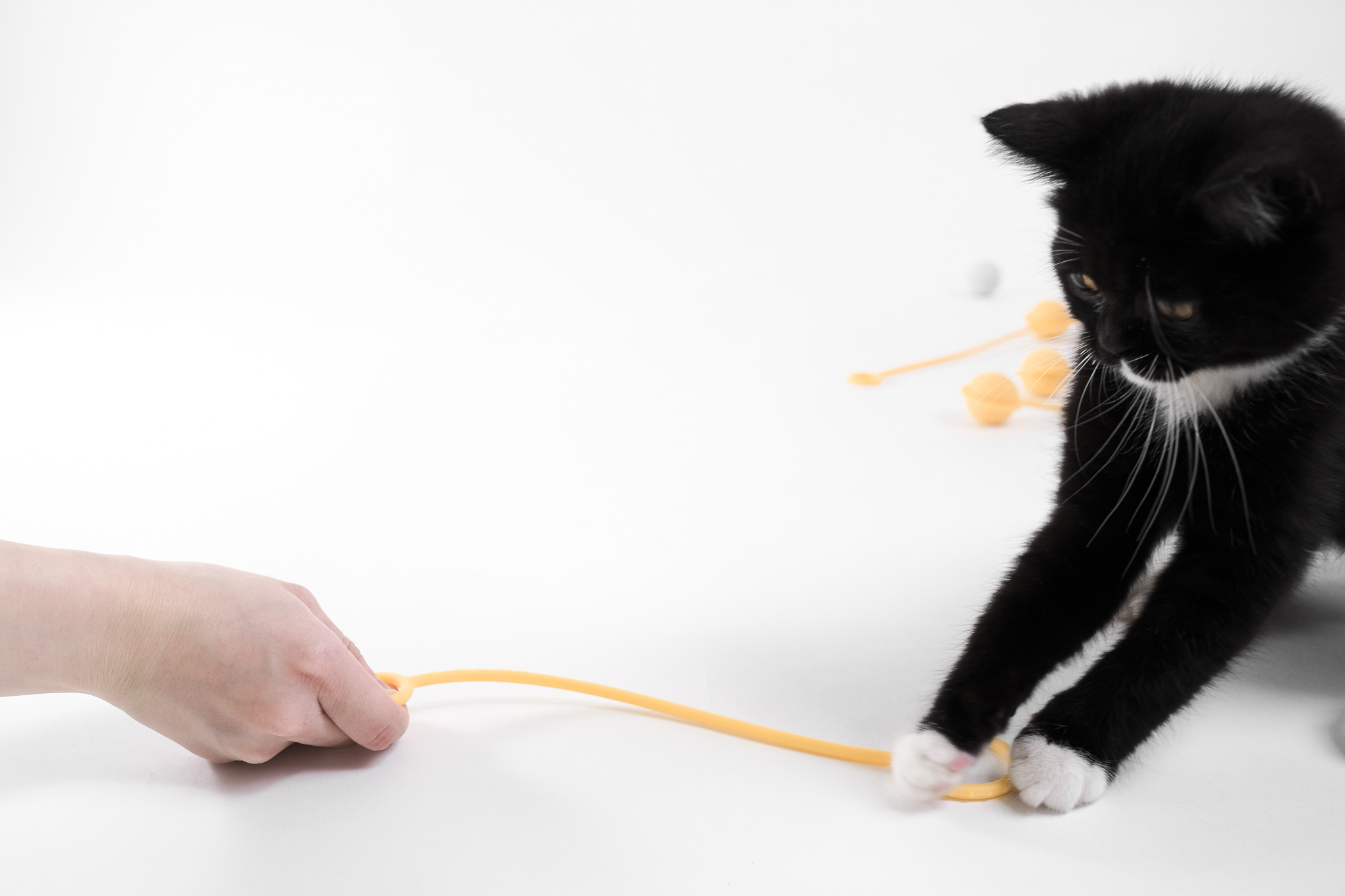 iF Design duo goods_new type of cat toy
