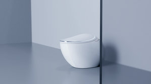 ZZ-S1 Automatic Smart Toilet