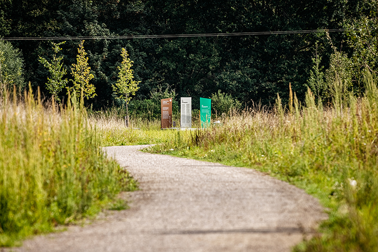 Droste-Landschaft : Lyrikweg