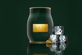 Gaya iced coffee can