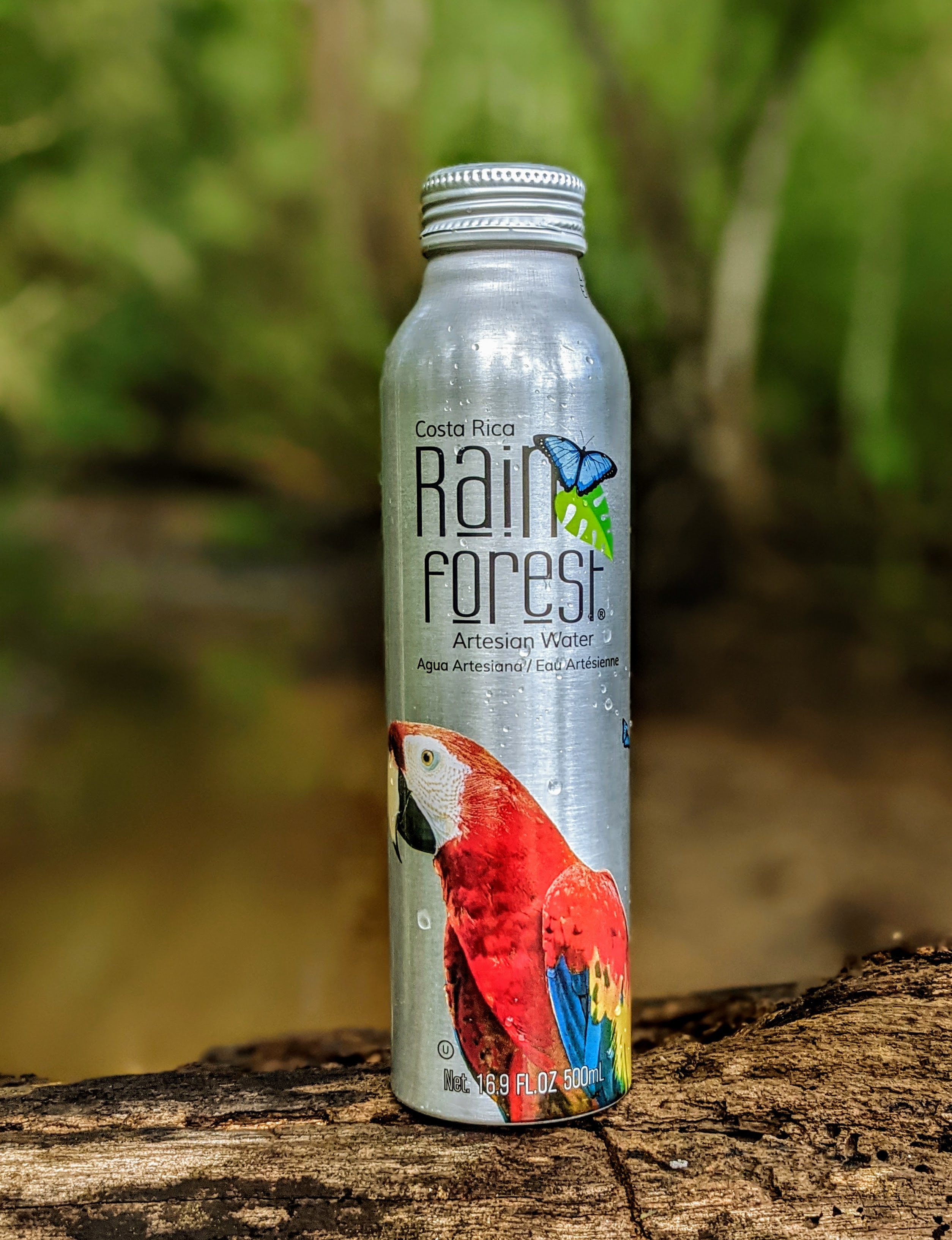 Rainforest Artesian Water