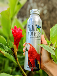 Rainforest Artesian Water