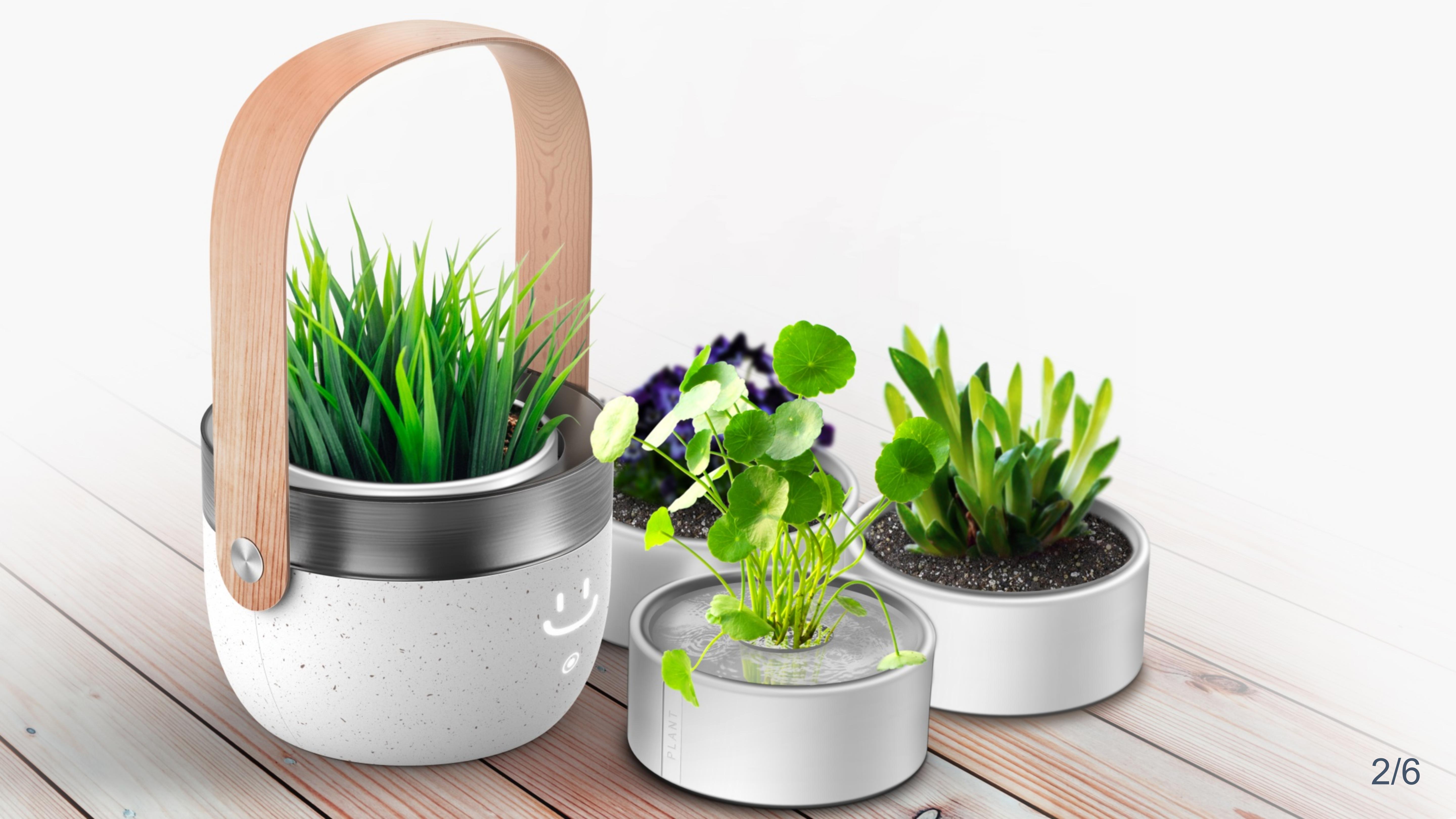 Intelligent Flowerpot