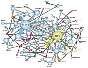 Spinnwebzeit. Die eBay-Vernetzung