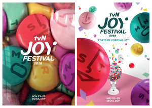 tvN Joy Festival 2018