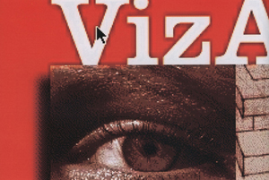 VizAbility