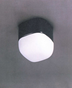 Ceiling Lighting Fixture Y-3/82