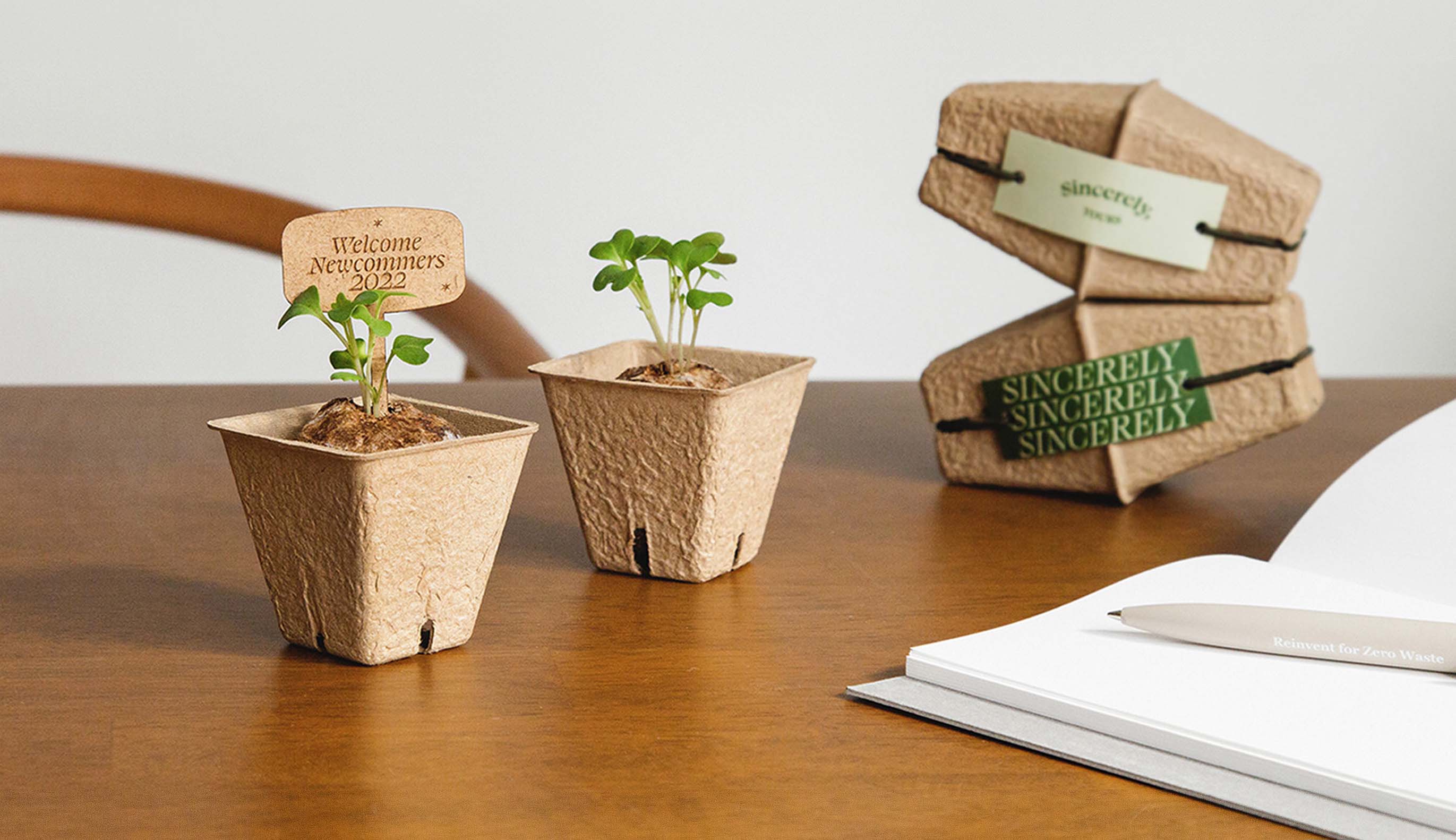 Seed Pot-kage : A Package becomes plant pots.