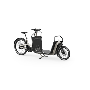 Ca Go FS200 Vario