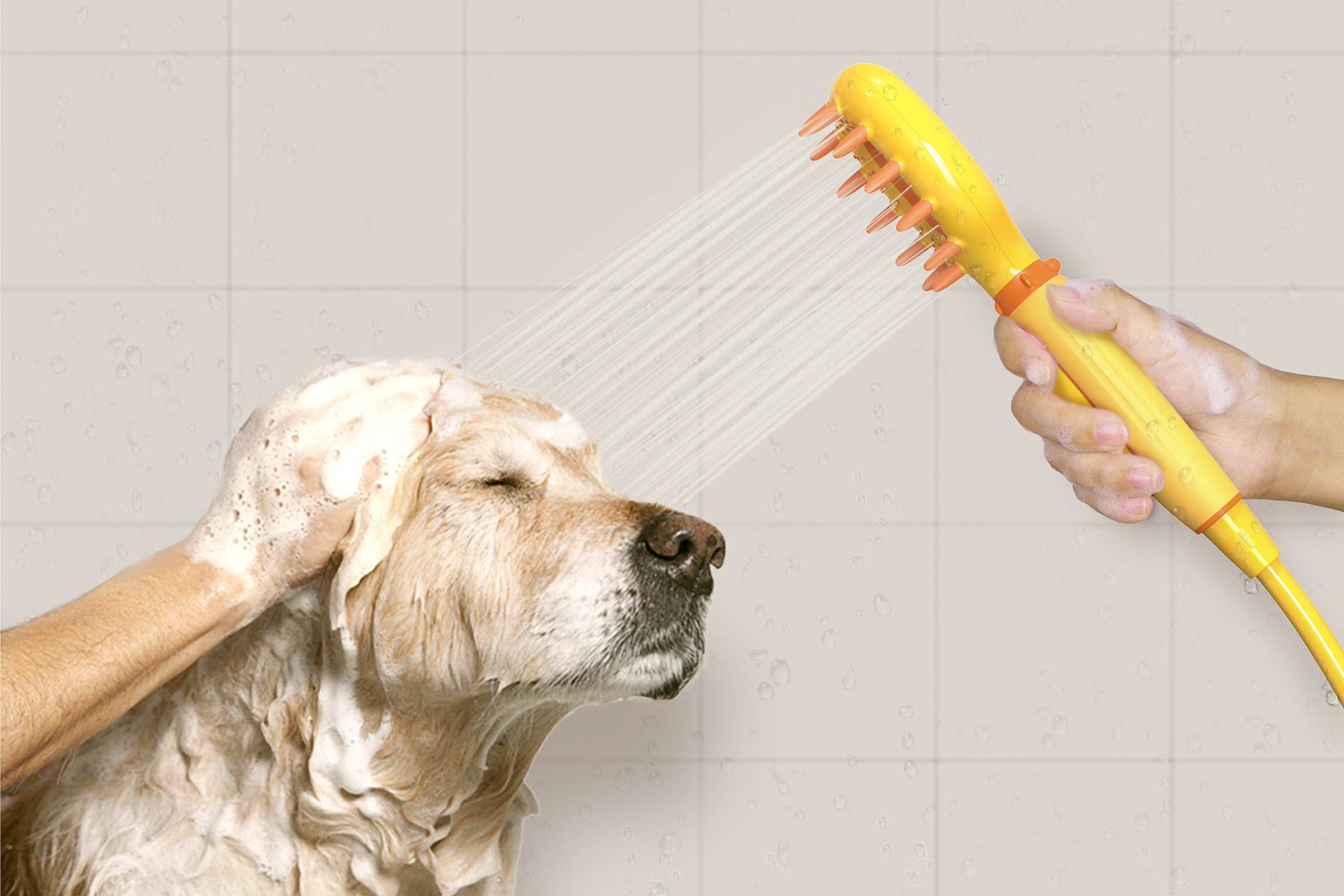 The Pet Shower