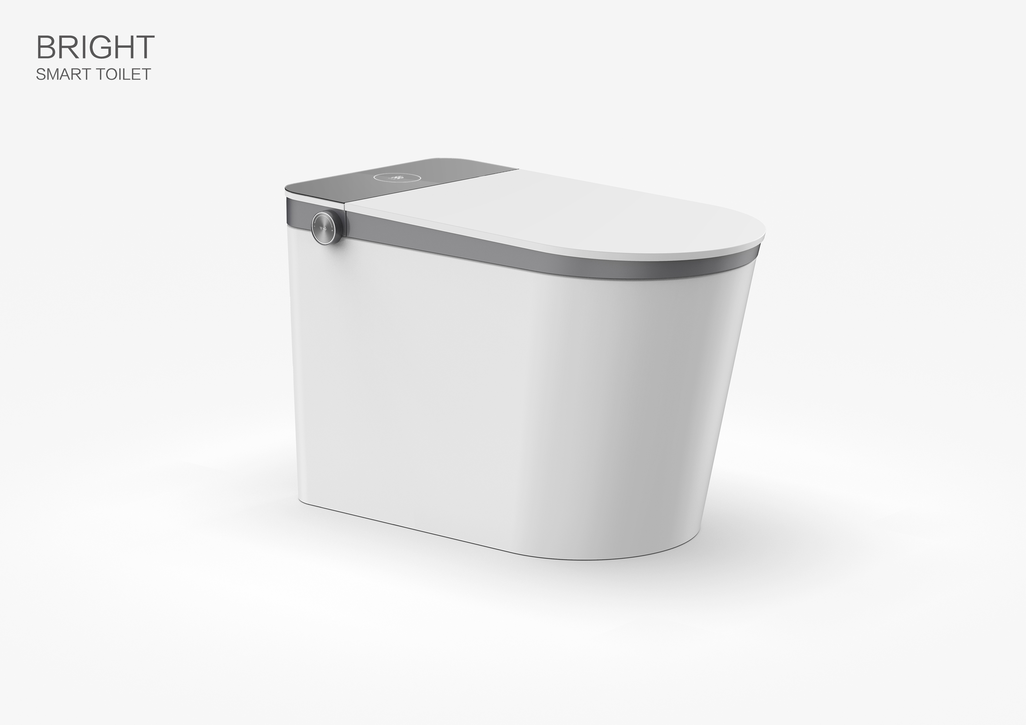 BRIGHT SMART TOILET