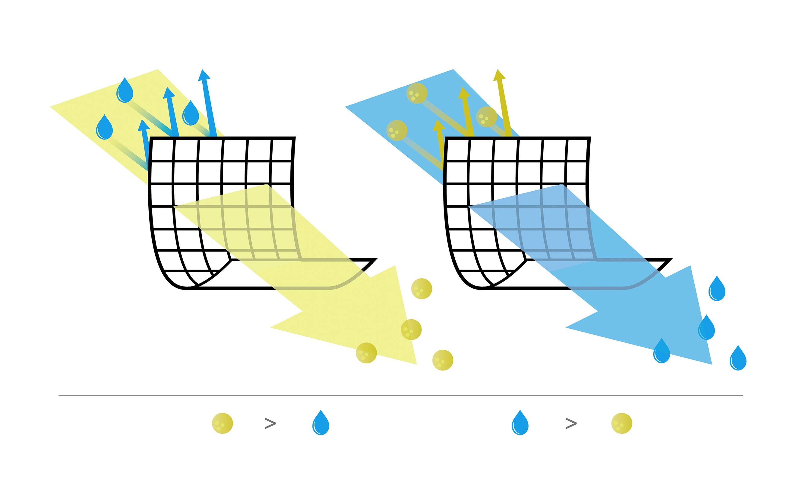 Dual Membranes