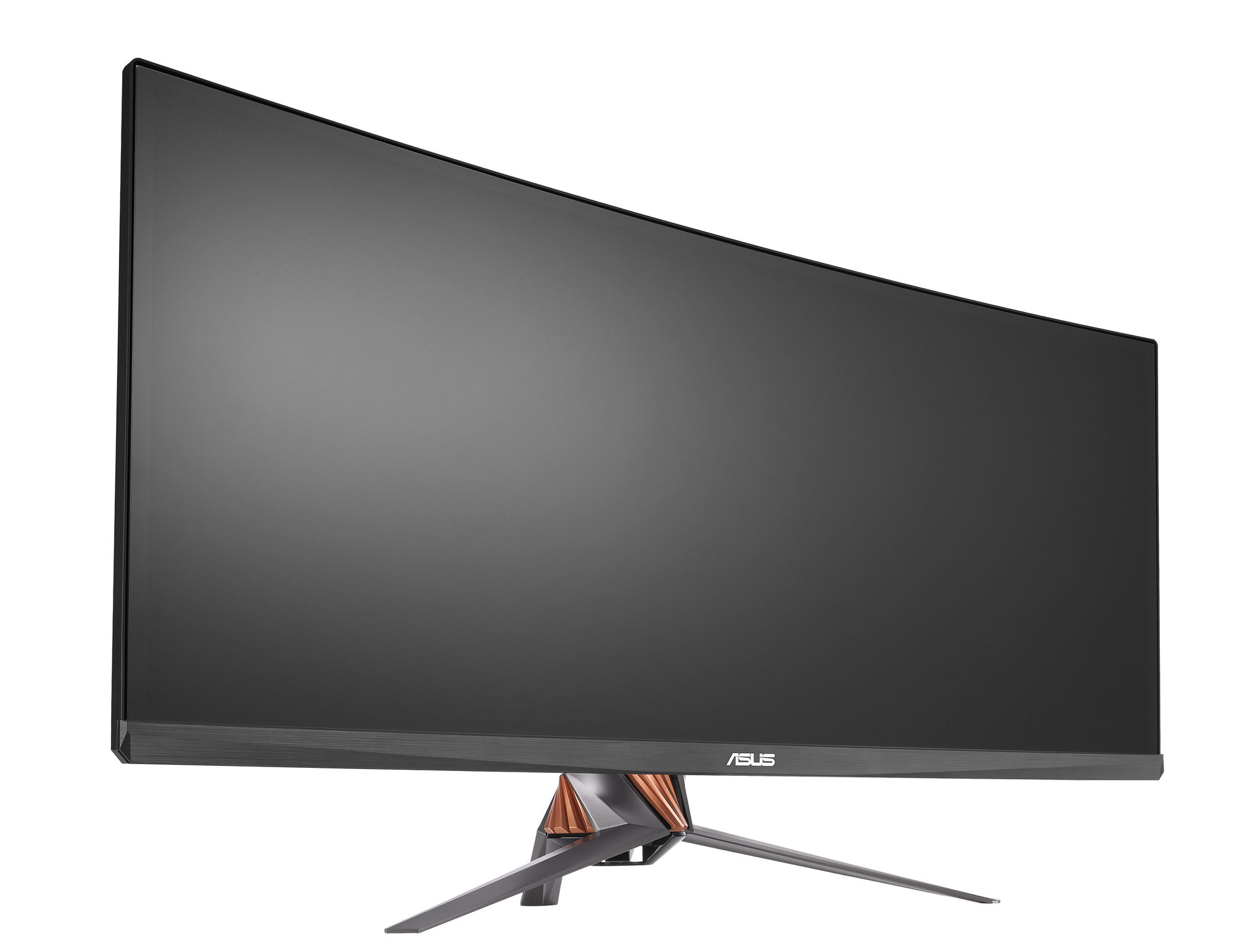 ROG PG Series Monitor