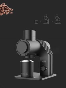 Professional flat blade coffee grinder