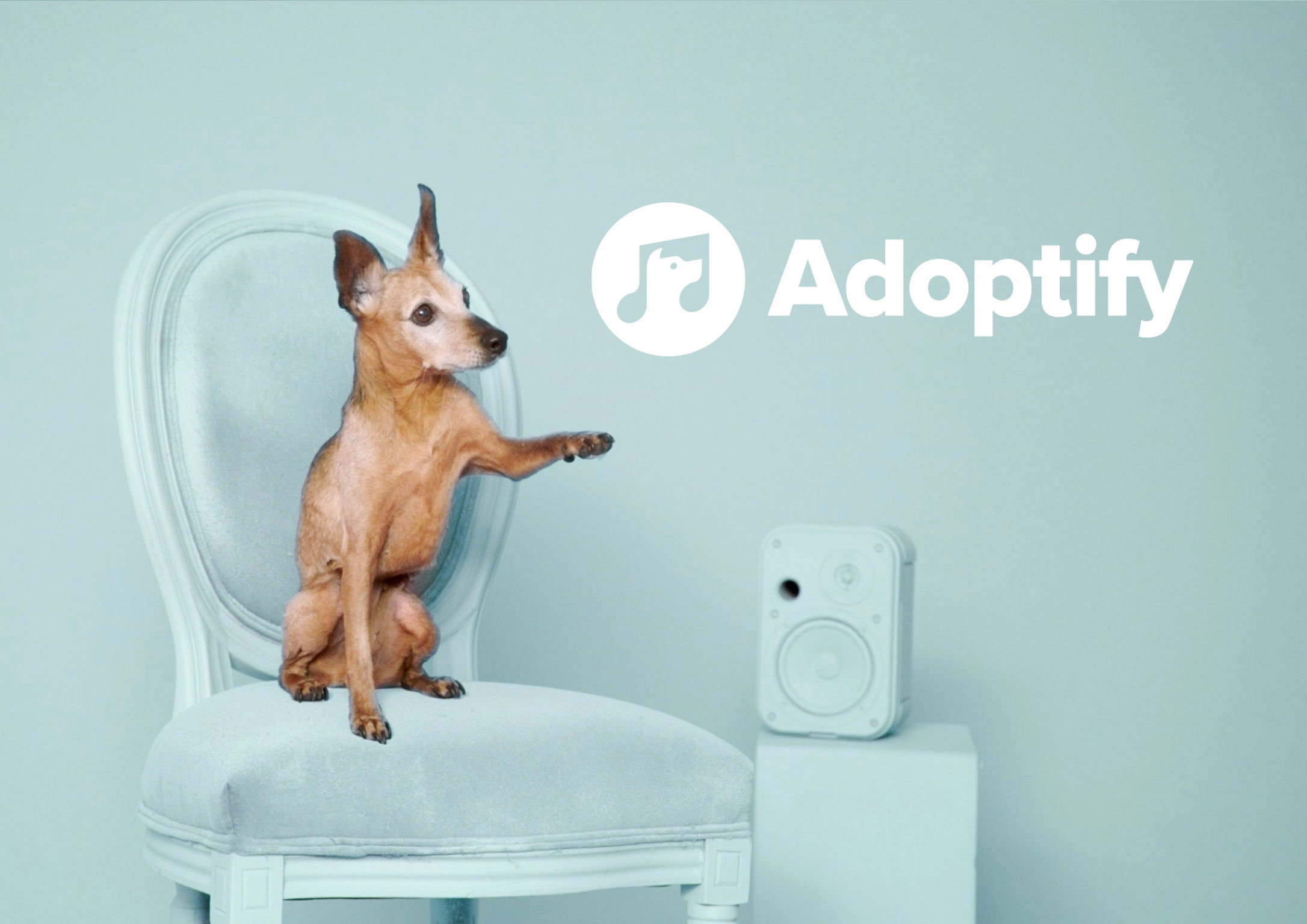 Adoptify