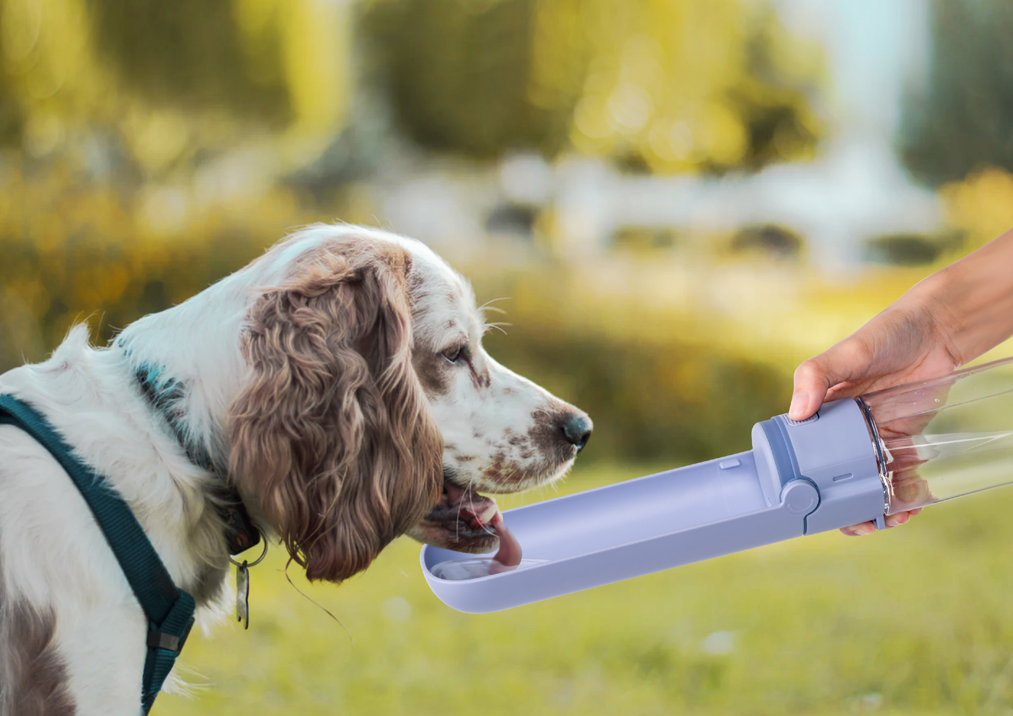 Portable dogs drinking bottle