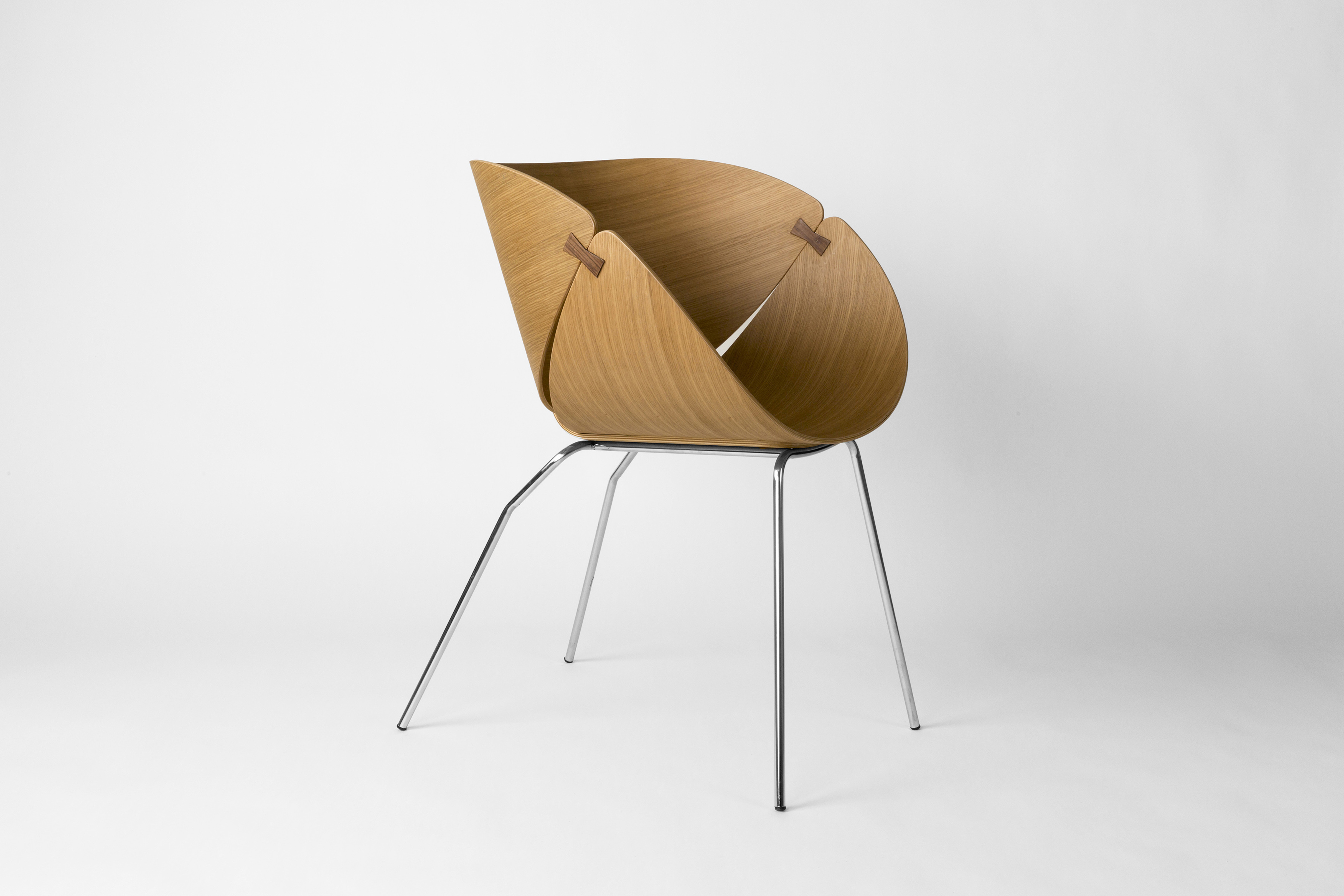 Ginkgo Chair