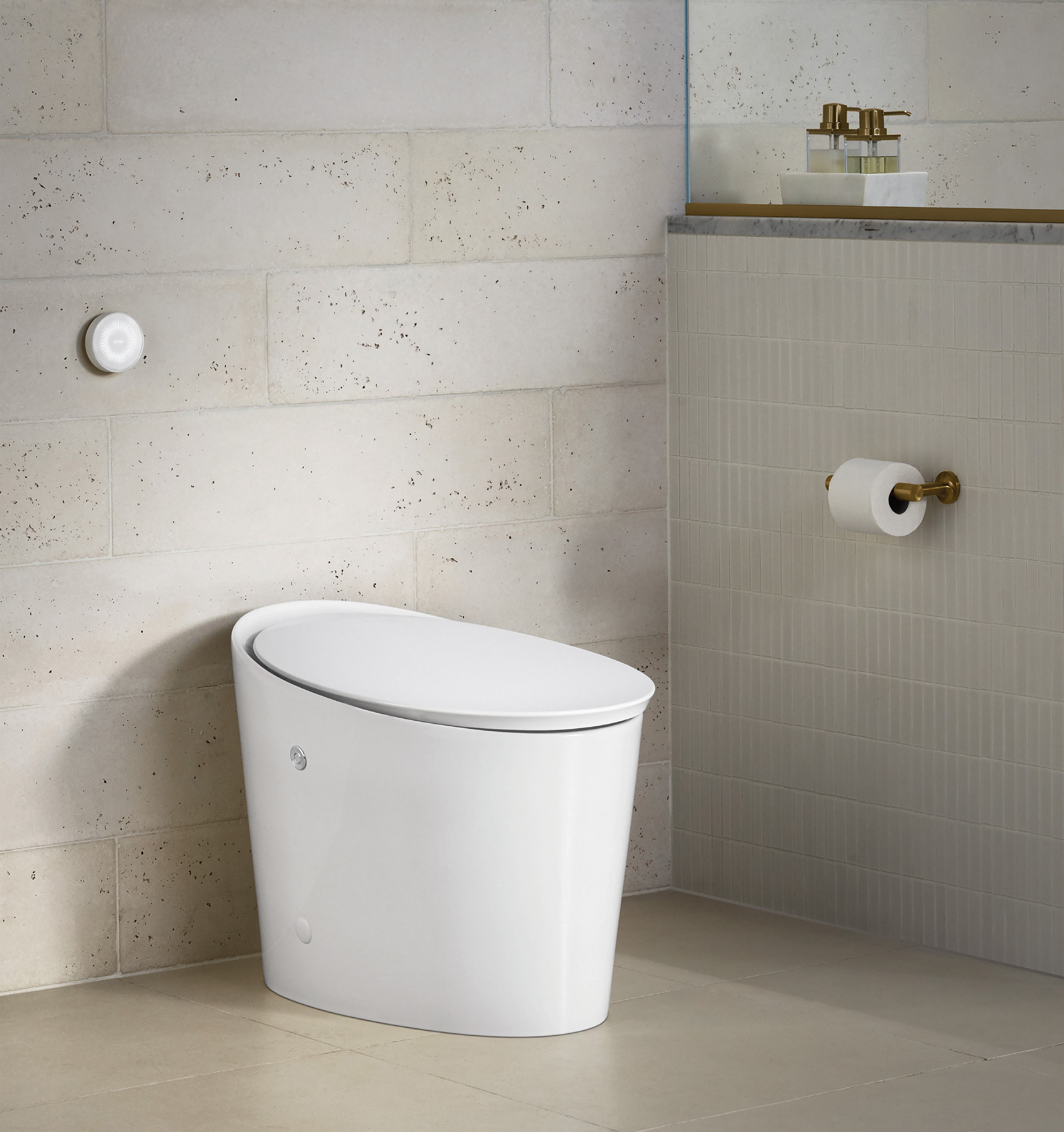 Avoir Tankless Toilet