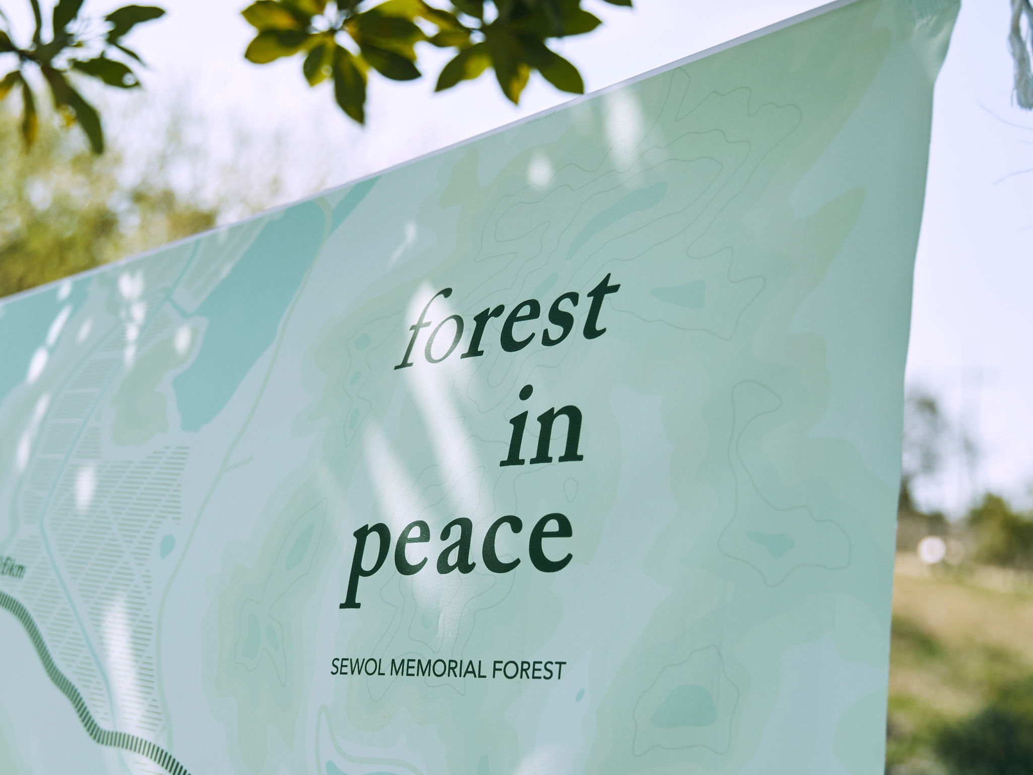 foRest in peace