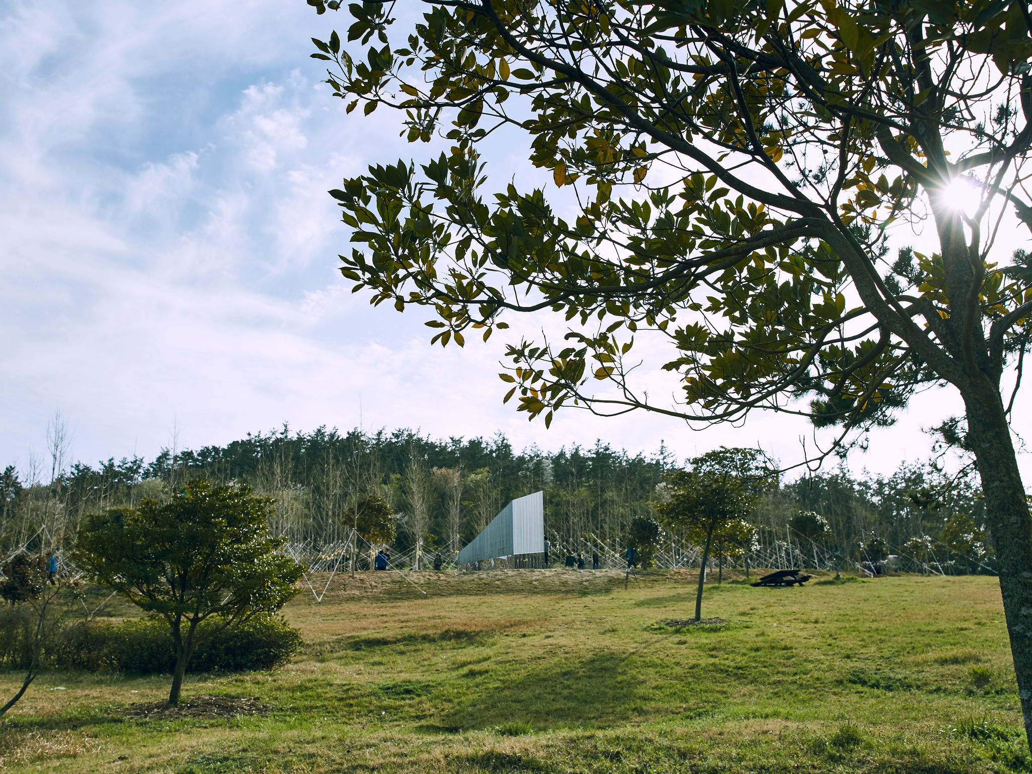 foRest in peace