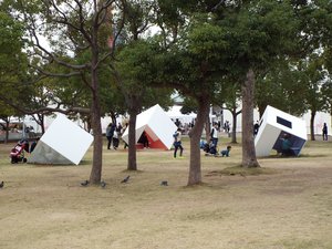 Three cubes in the forest