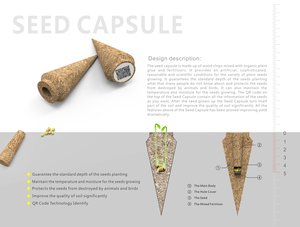 SEED CAPSULE