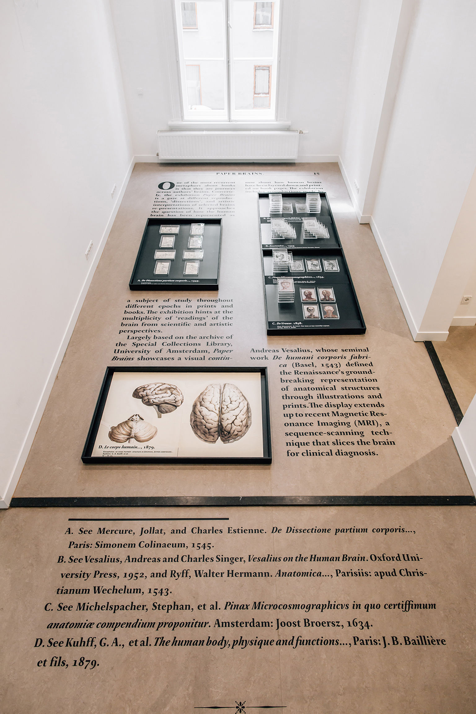 Paper Brains exhibition